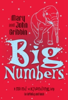 Big Numbers : A Mind-Expanding Trip to Infinity and Back
