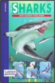 Sharks And Other Fish